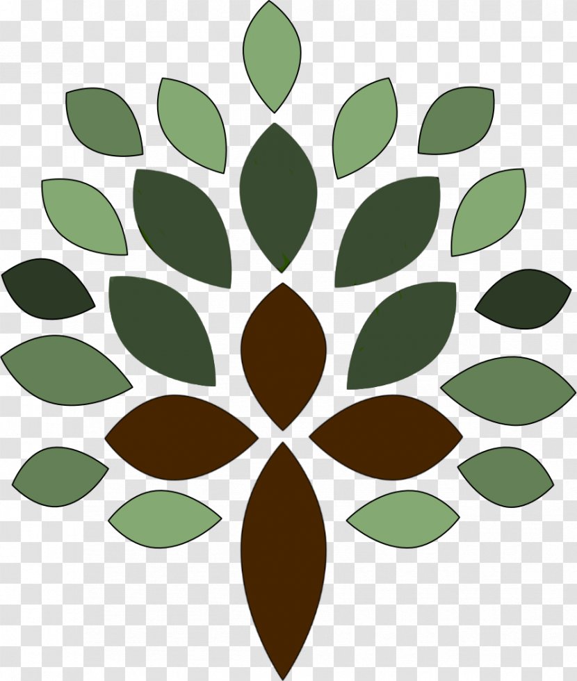 Leaf Plant Stem Tree Clip Art Transparent PNG