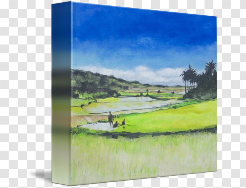 Watercolor Painting Land Lot Picture Frames Energy - Plain Transparent PNG