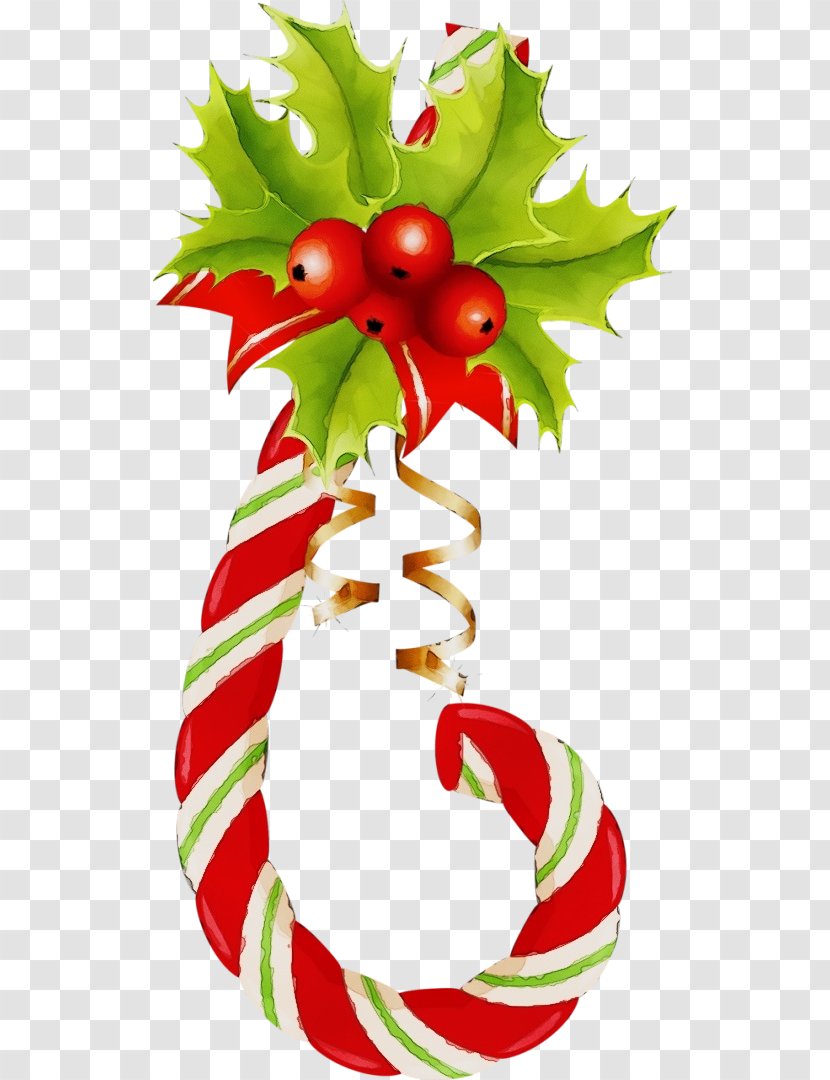 Holly - Paint - Flower Tree Transparent PNG