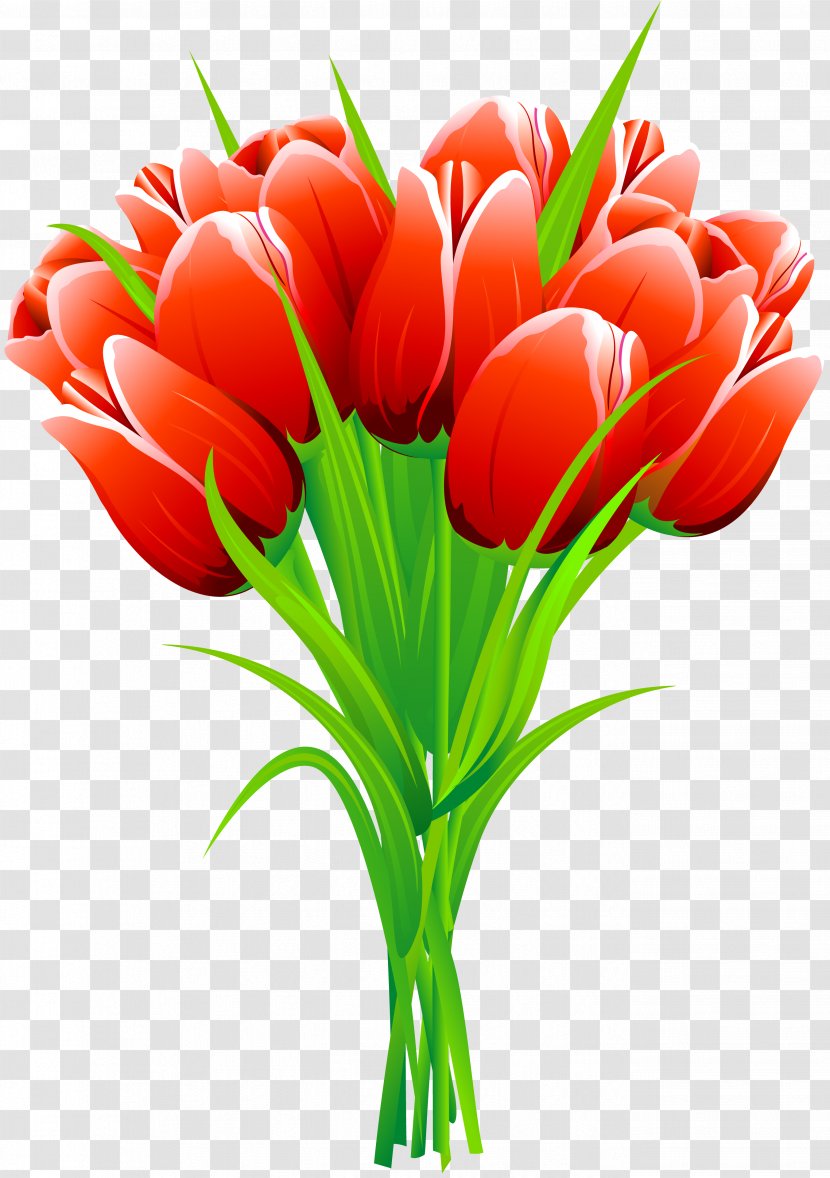 Tulip Flower Bouquet Clip Art - Plant Stem - Gastrointestinal Transparent PNG
