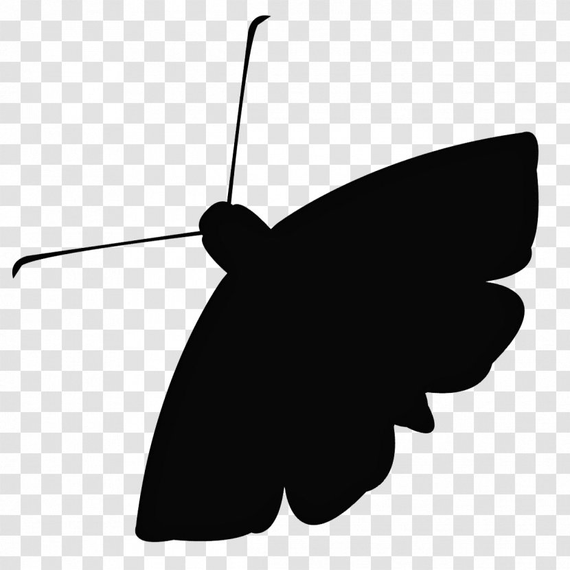 The Moth Podcast DC Moth: StorySLAM - Pollinator - Invertebrate Transparent PNG