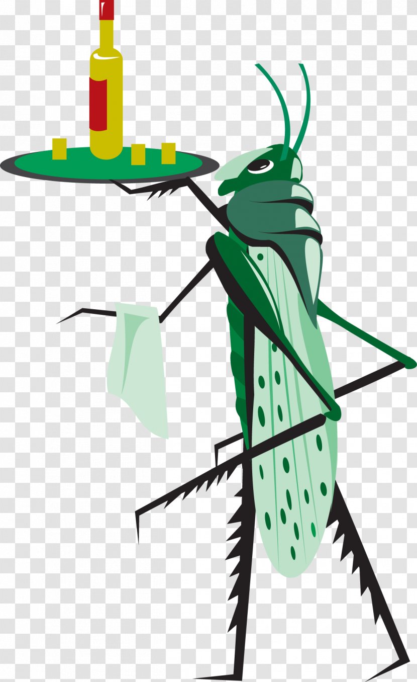 Illustration - Leaf - Vector Hand Painted Grasshopper Attendant Transparent PNG
