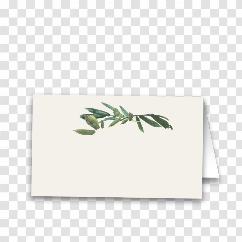 Paper Rectangle Leaf - Greenery Transparent PNG