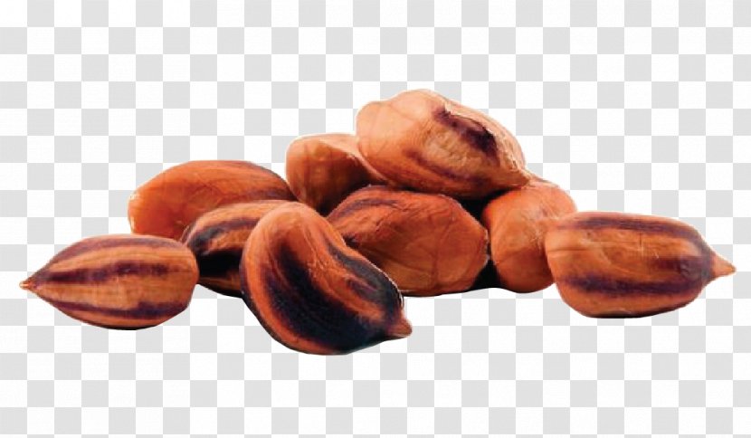 Peanut Organic Food Raw Foodism - Protein - Health Transparent PNG