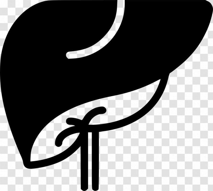 Liver - Silhouette - Icon Transparent PNG