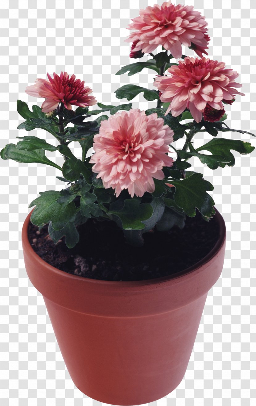 Photography Clip Art - Stock - Flower Pot Transparent PNG