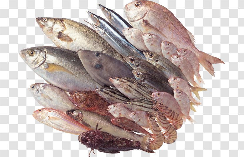 Fish Fillet Seafood Clip Art - Raw Image Format Transparent PNG