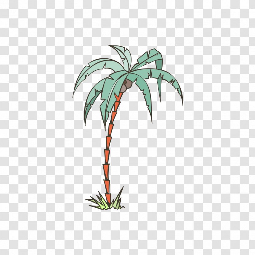 Arecaceae Illustration - Grass - Red Green Coconut Tree Transparent PNG