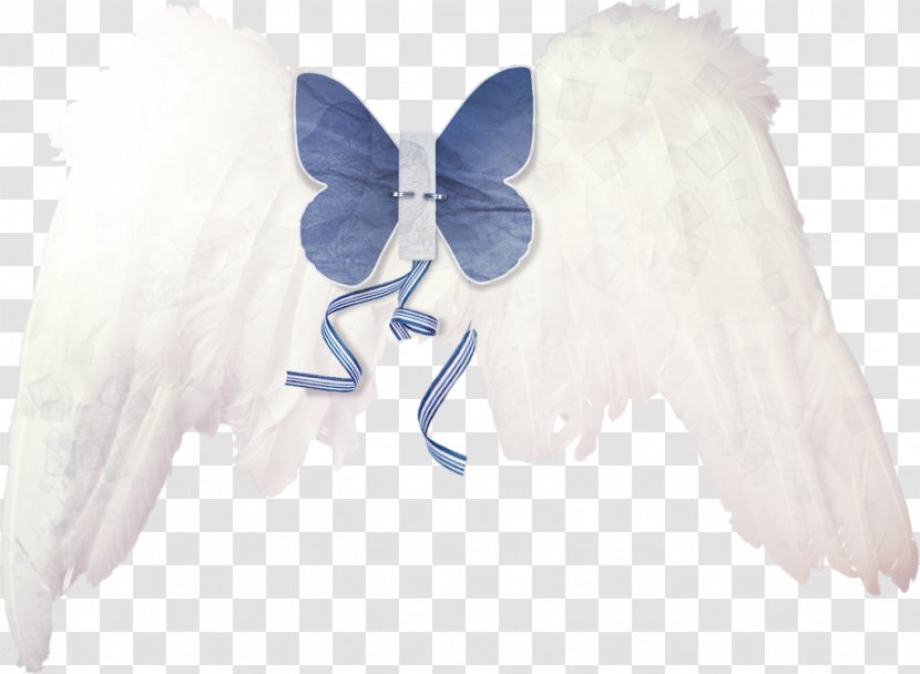 Angel Wing - Drawing - Wings Transparent PNG