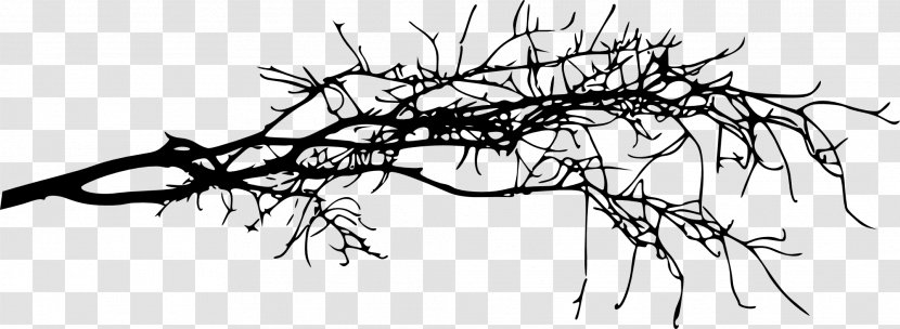 Twig Black And White - Frame - Silhouette Transparent PNG