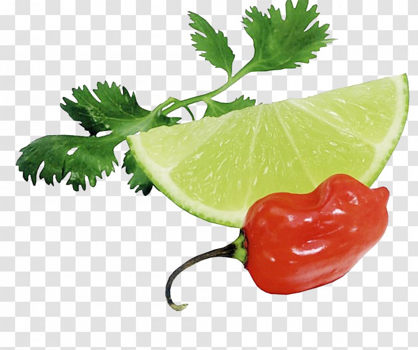 Lime Green Papaya Salad Lemon Auglis Vegetable - Capsicum Annuum - Pepper Transparent PNG