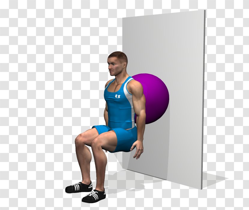 Medicine Balls Exercise Physical Fitness Squat BOSU - Tree - Ball Transparent PNG