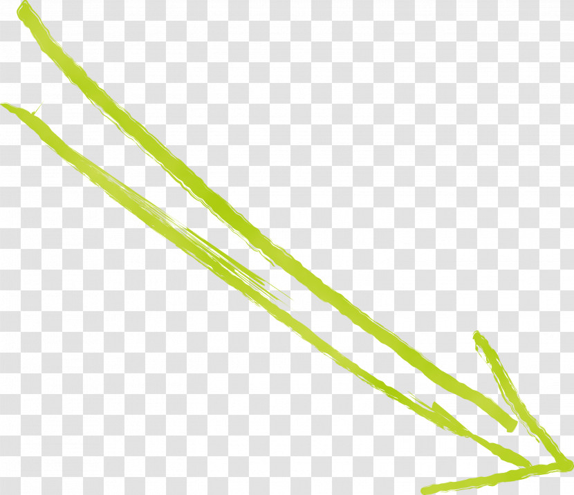 Plant Line Grass Family Plant Stem Transparent PNG