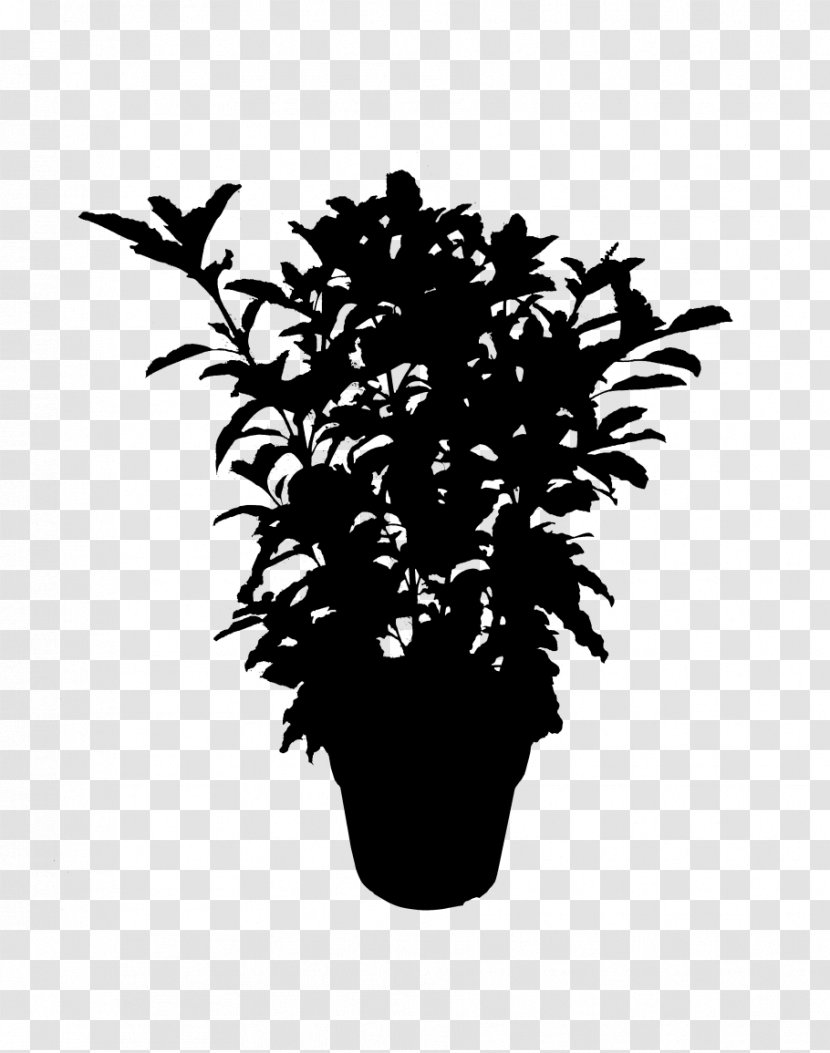 Flowering Plant Silhouette Leaf Plants - Vascular - Branch Transparent PNG