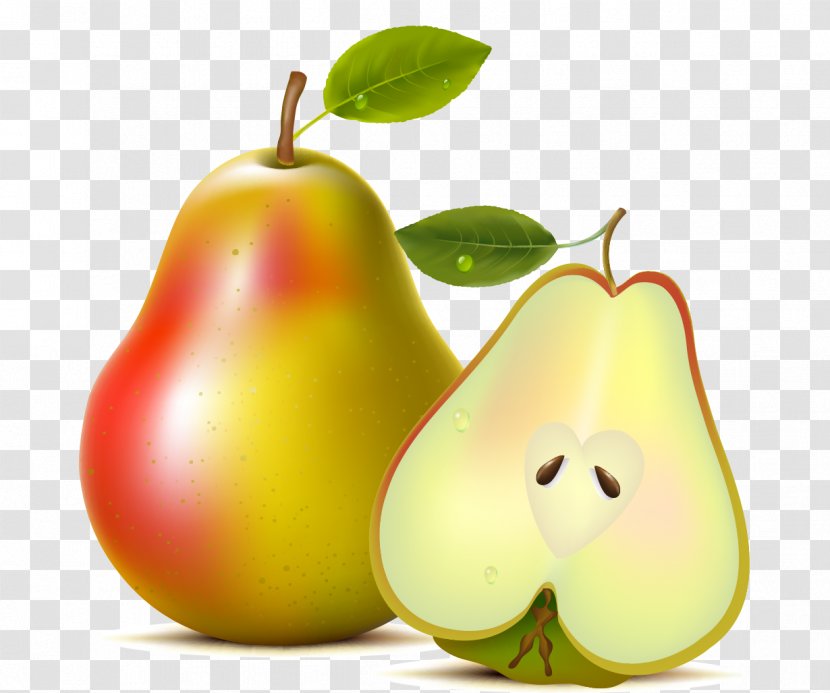 Asian Pear Fruit Williams - Diet Food - Vector Pears Transparent PNG