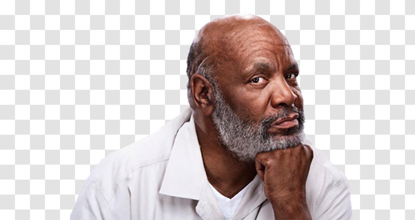 Beard Moustache Homo Sapiens - Senior Citizen Transparent PNG