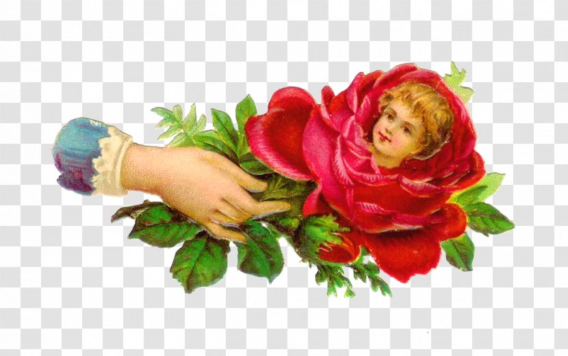Garden Roses Victorian Era Flower Clip Art - Artificial - Baby Cliparts Transparent PNG