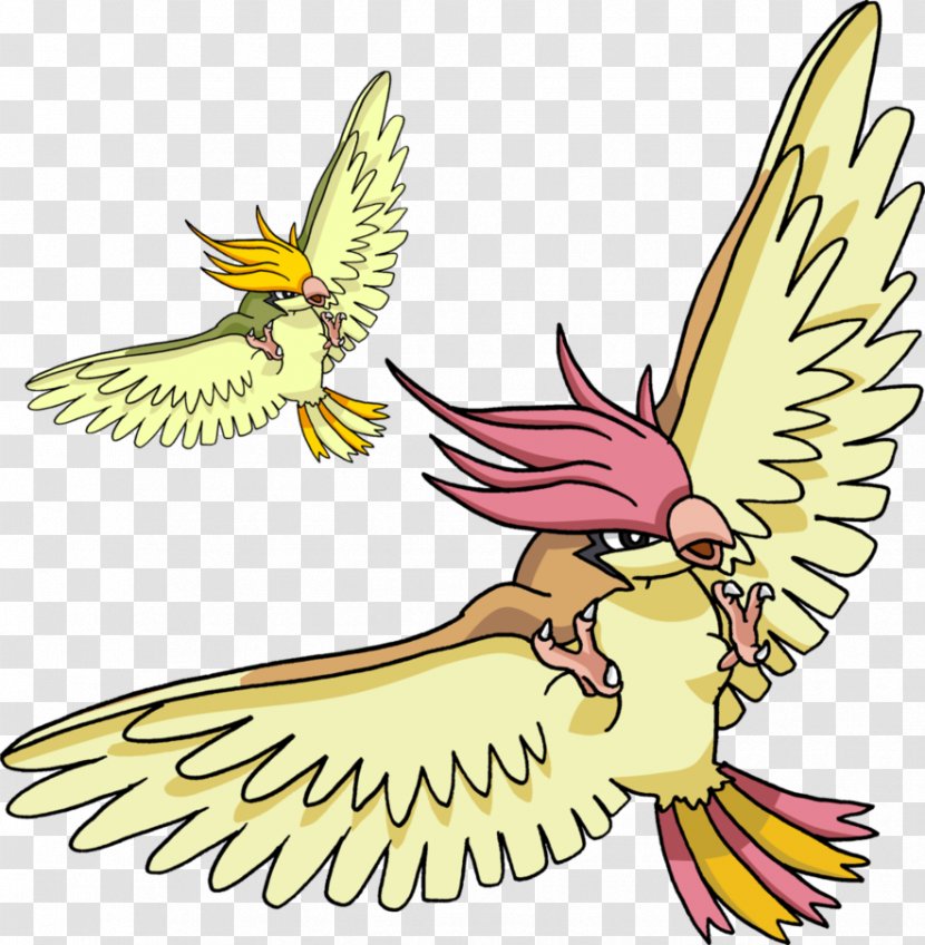 Pidgeotto Pidgey Pikachu Pokémon - Fauna Transparent PNG