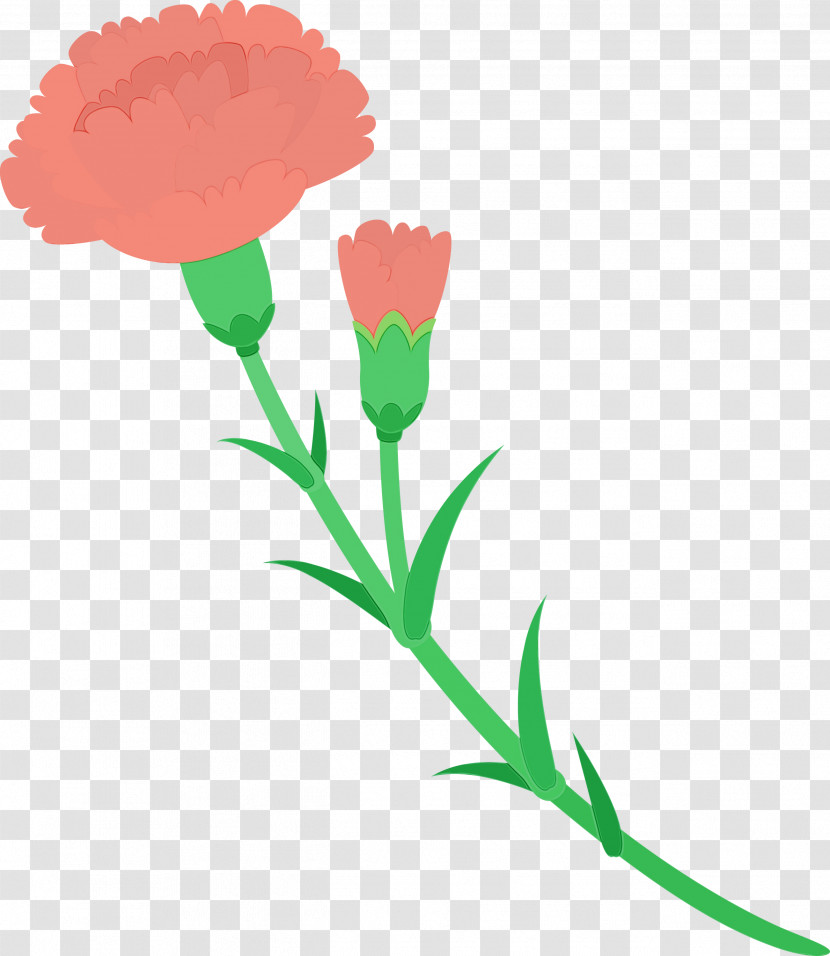 Flower Cut Flowers Plant Plant Stem Pedicel Transparent PNG