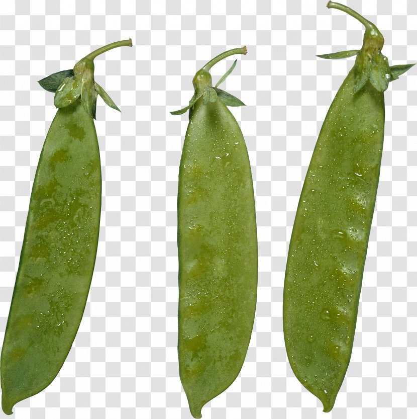 Snow Pea Lima Bean Green Vegetarian Cuisine - Fruit Transparent PNG