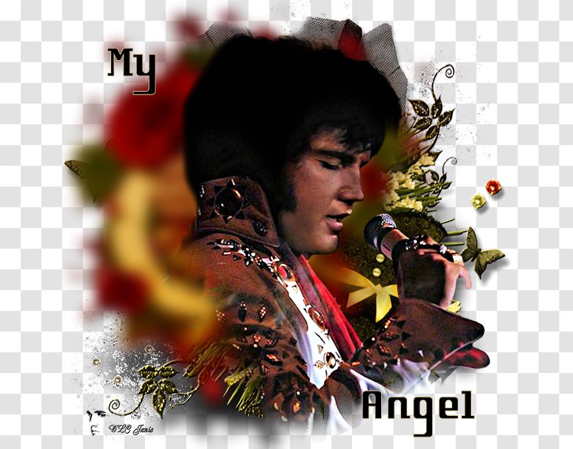 Desktop Wallpaper Angel Image Photograph Stock.xchng - Images V1 - Elvis Presley Childhood Transparent PNG