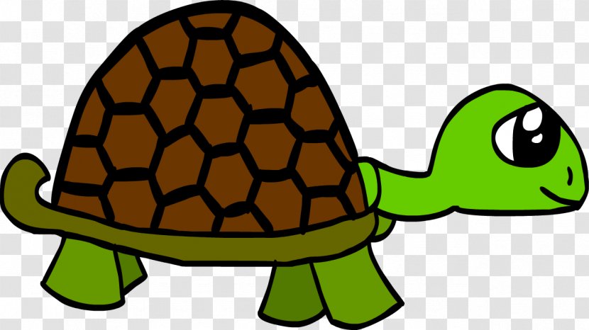 Tortoise Turtle Beer Mexico Clip Art - Cartoon Transparent PNG