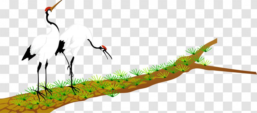 Pine Red-crowned Crane - Decorative Arts - Hand-painted Transparent PNG