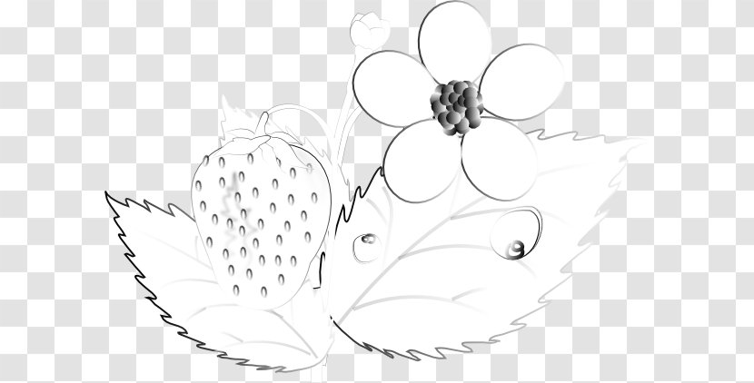 Insect Pollinator Line Art Petal Sketch - Watercolor - Strawberry Outline Transparent PNG