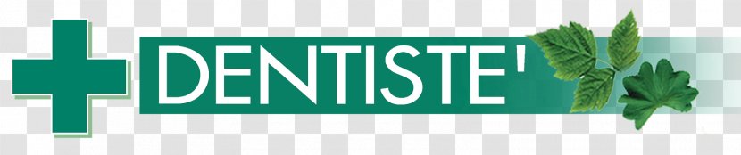 Dentistry Toothpaste Brand Logo - Banner - Live Life Transparent PNG
