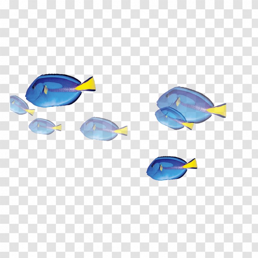 Fish Blue Download - Cartoon Transparent PNG
