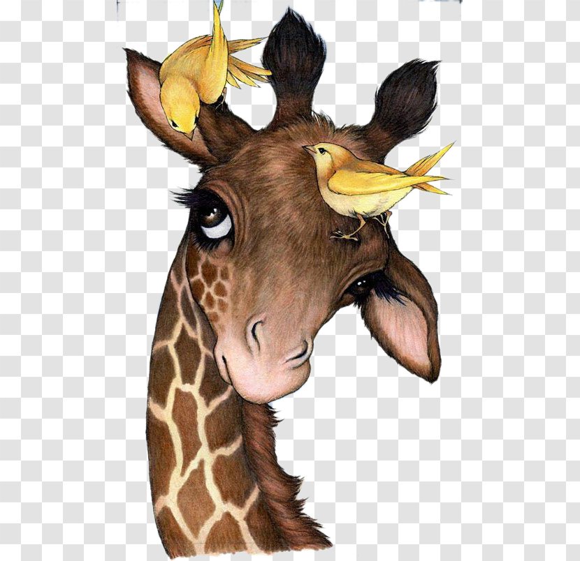Northern Giraffe Painting Drawing Animal Canvas - Head - And Bird Transparent PNG
