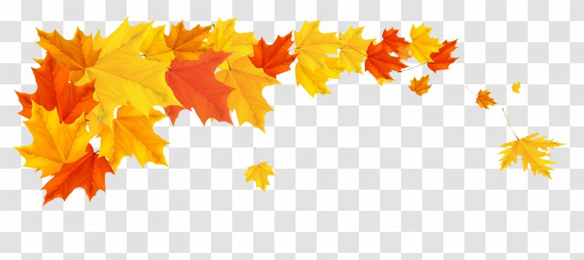 Autumn Desktop Wallpaper Clip Art - Flower - Leaves Border Transparent PNG