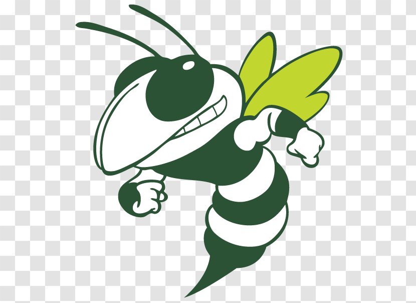 Georgia Institute Of Technology Tech Yellow Jackets Football Yellowjacket Buzz - Plant - Cute Hornet Cliparts Transparent PNG