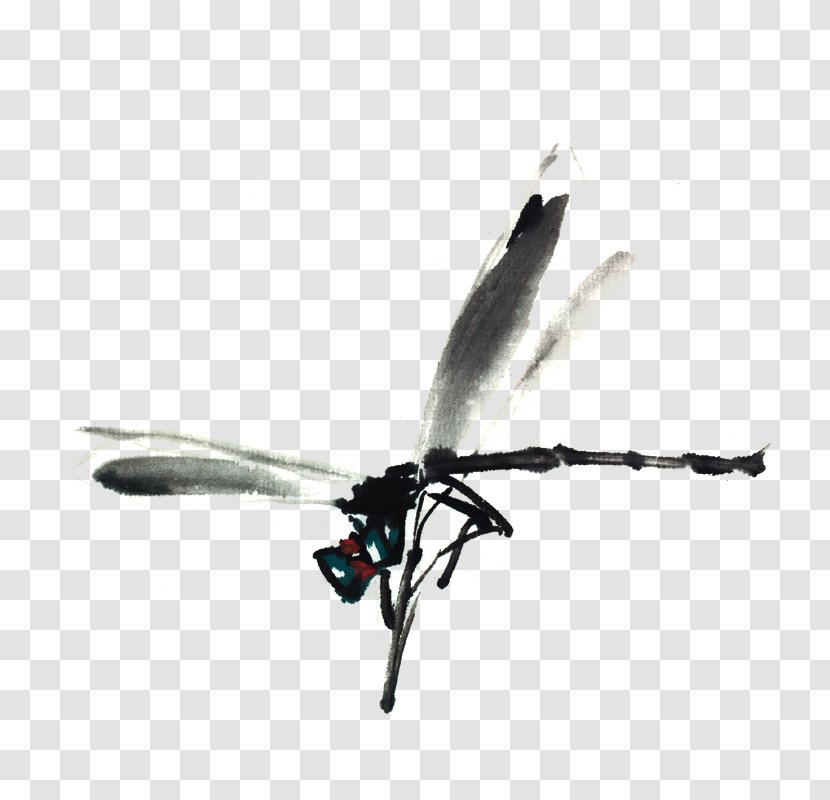 Insect Ink Wash Painting Watercolor Dragonfly - Membrane Winged - Decorative Elements,insect Transparent PNG