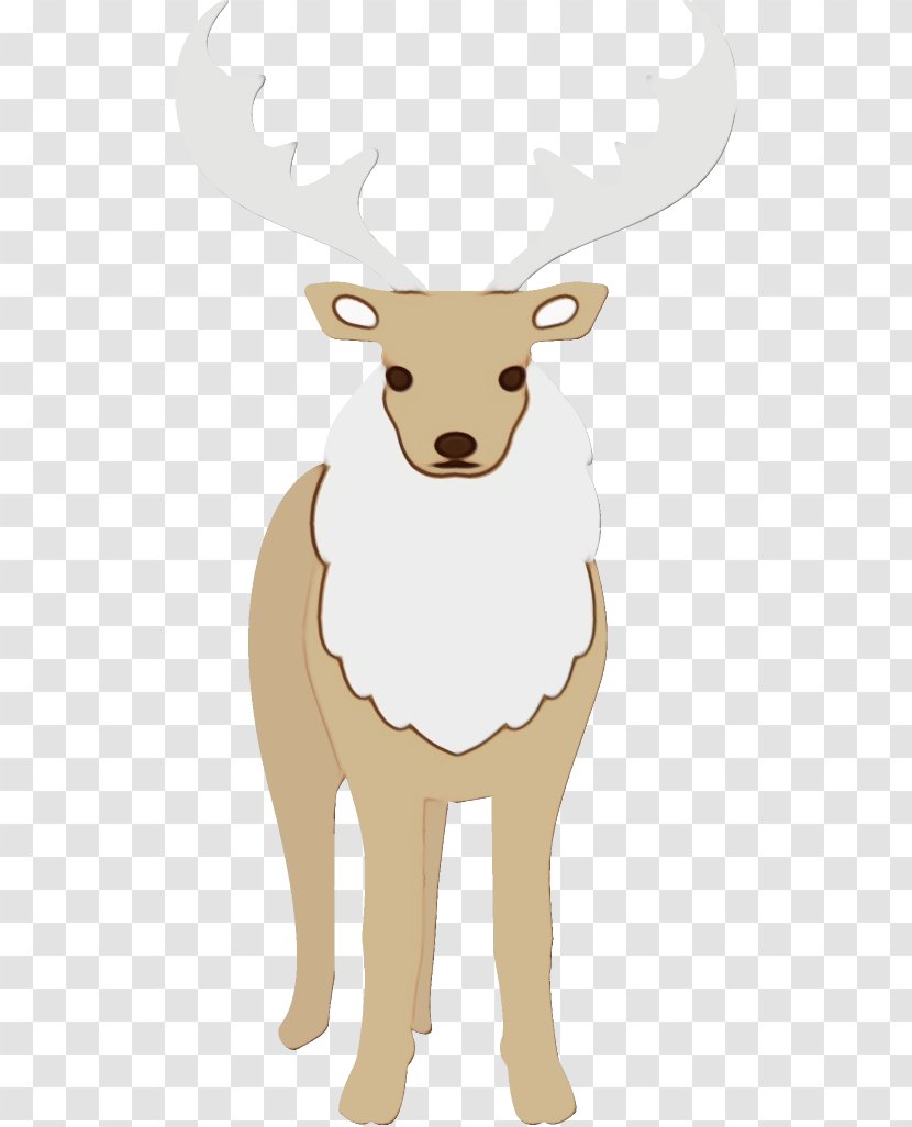 Reindeer - Deer - Antler Elk Transparent PNG