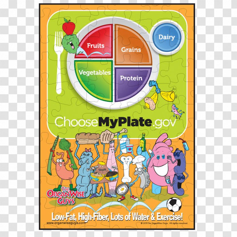ChooseMyPlate Food Pyramid Group - Myplate - Health Transparent PNG