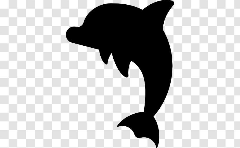 Dolphin Clip Art - Mammal Transparent PNG