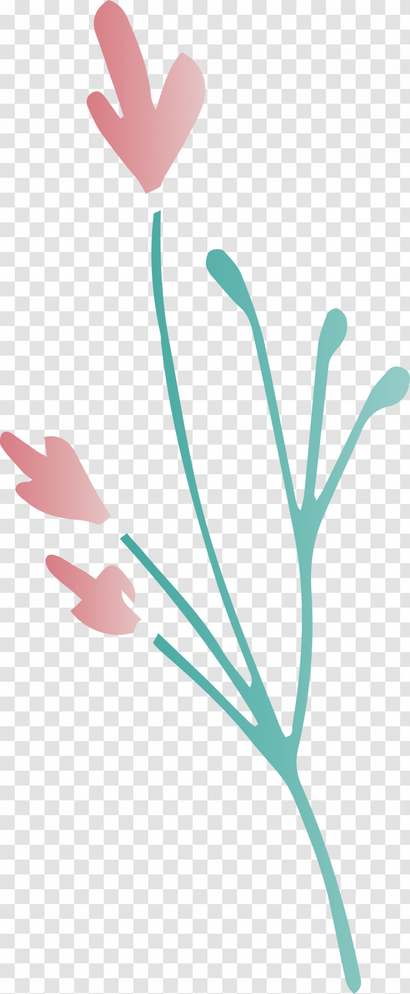 Leaf Branch Transparent PNG