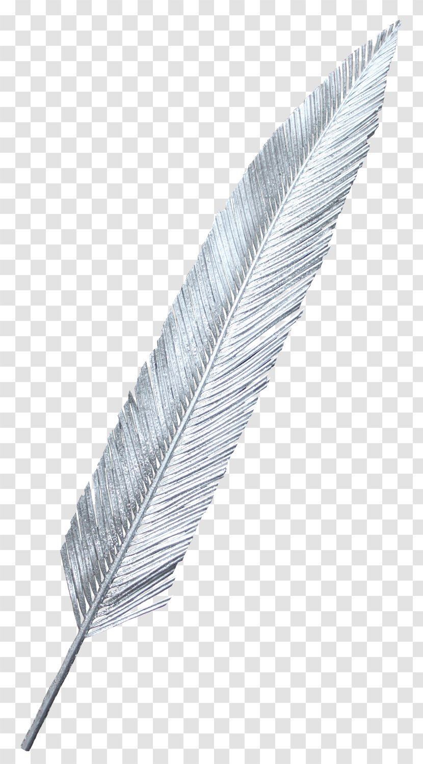 White Feather - Feathers Transparent PNG