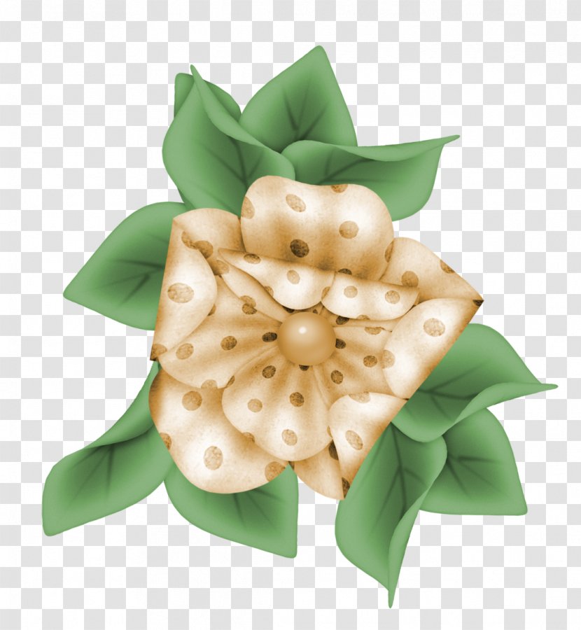 Fruit - Bambi Flower Transparent PNG