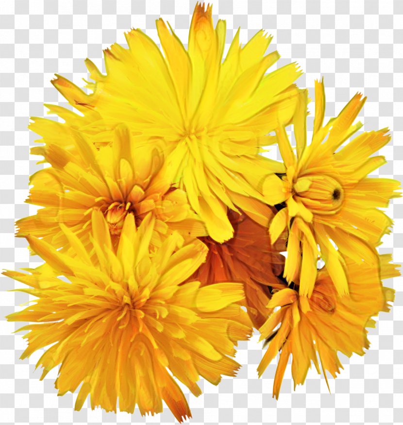 The Ray Conniff Singers Love Songs Somewhere My You Light Up Life - Cut Flowers - Yellow Transparent PNG