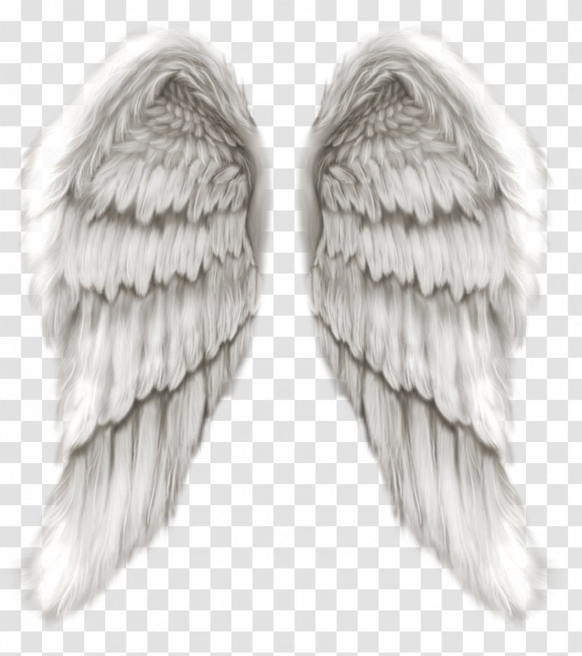 Angel Michael Clip Art - Wing - Wings Transparent PNG