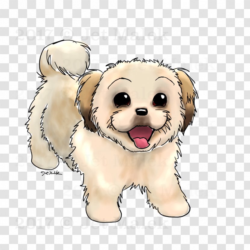 Dog Breed Puppy Shih Tzu Maltese Maltipoo - Canidae - Drawing Sketch Transparent PNG