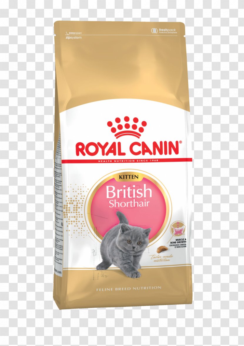 Persian Cat Food British Shorthair Kitten Ragdoll Transparent PNG