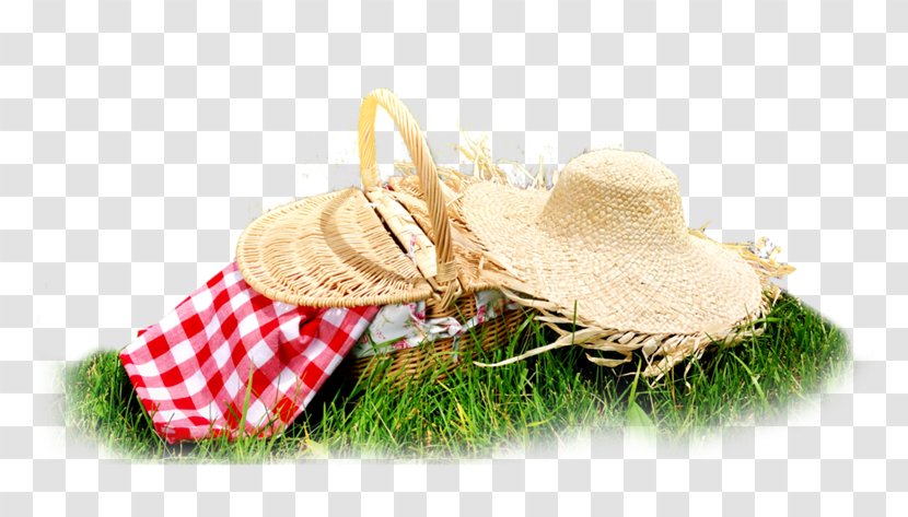 The C Programming Language Picnic Stock Photography Image Design - Meadow Transparent PNG