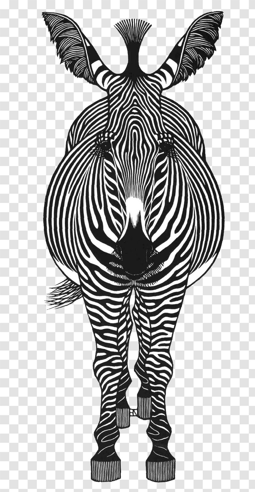 Zebra Woodcut Woodblock Printing Printmaking - Mammal - Cute Transparent PNG