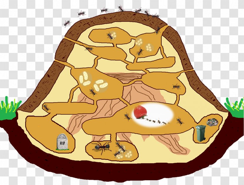 Ant Colony Red Wood Nest Clip Art - Artwork - Anteater Transparent PNG
