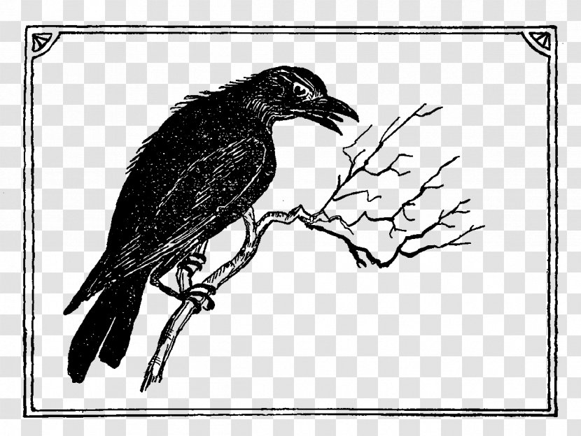 American Crow Common Raven Drawing Feather Beak - Artwork - Print Transparent PNG