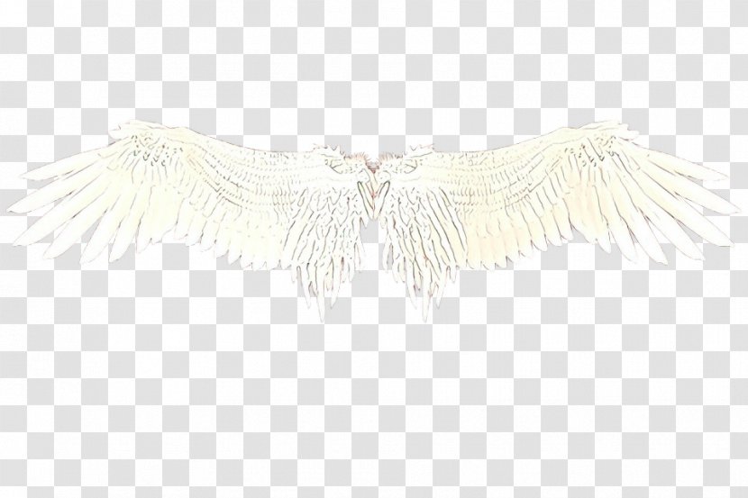 Feather - Necklace - Angel Transparent PNG