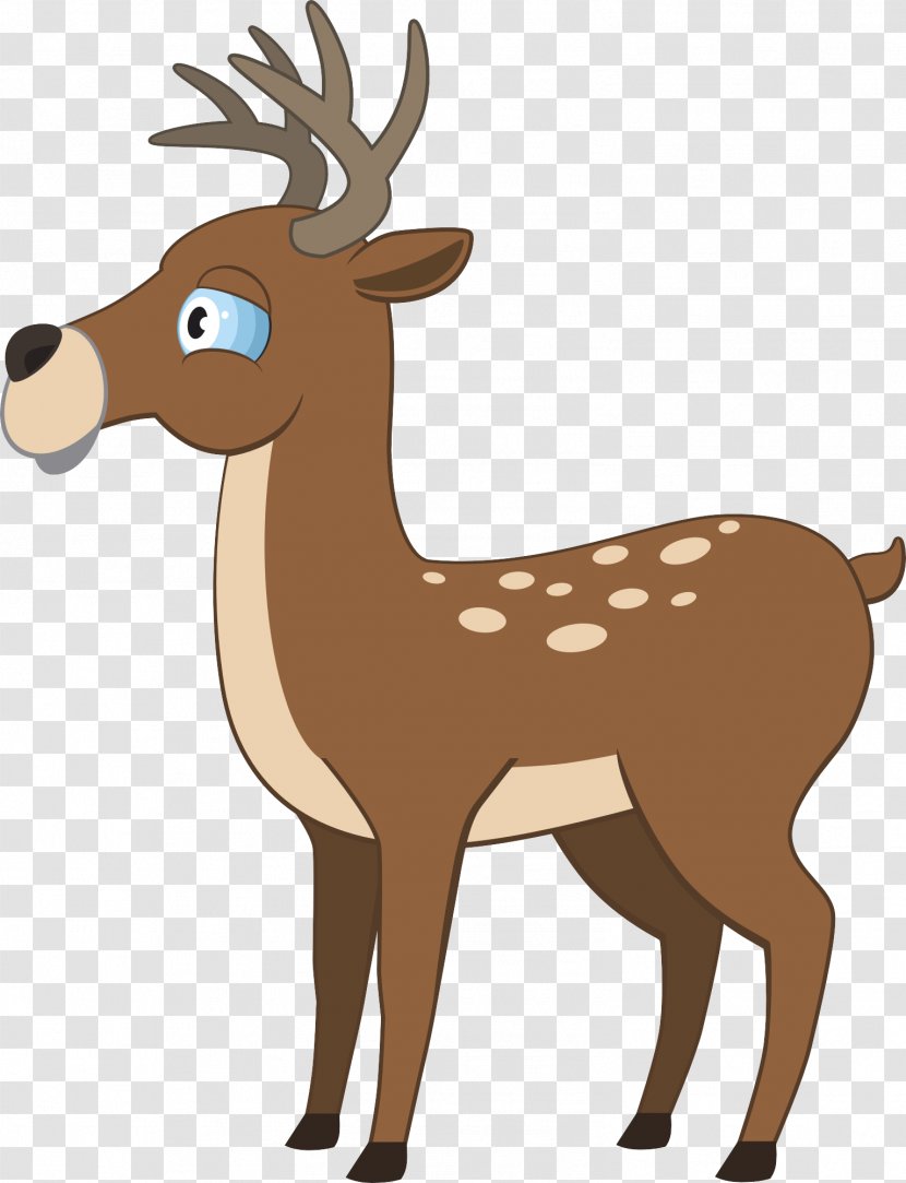 Reindeer Illustration - Drawing - Deer Transparent PNG